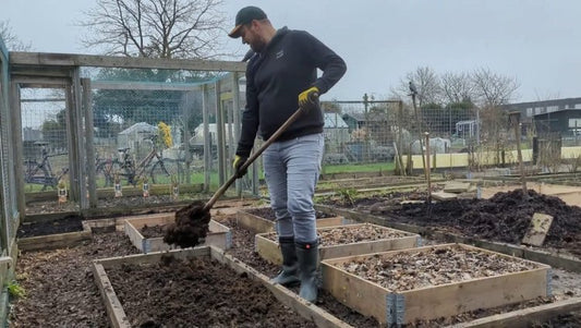 Wanneer moet je compost verdelen? Hoe de natuur dit perfect regelt en wat jij ervan kunt leren!