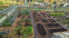 Overzicht moestuin