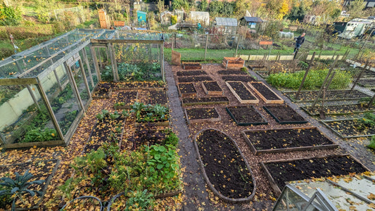 Overzicht moestuin