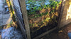 Compost bak met duidelijke lagen van groen en bruin materiaal zichtbaar in de composteerzone