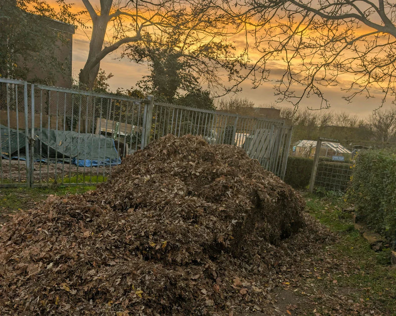 Grote stapel blad gestort door gemeente met zonsondergang op de achtergrond