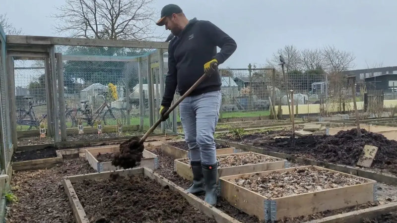 Met een schep wordt paardemest verdeeld over tuinbedden voor bemesting