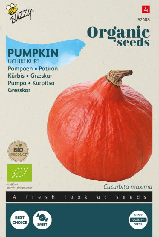 Pompoen Uchiki Kuri