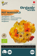 Goudsbloem Pacific Beauty - Thumbnail