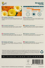 Goudsbloem Pacific Beauty - Thumbnail