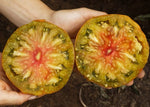 Tomaat Ananori - Thumbnail