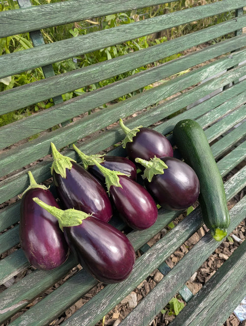 Zeven mooi geoogste aubergines liggen op een houten bankje in de tuin
