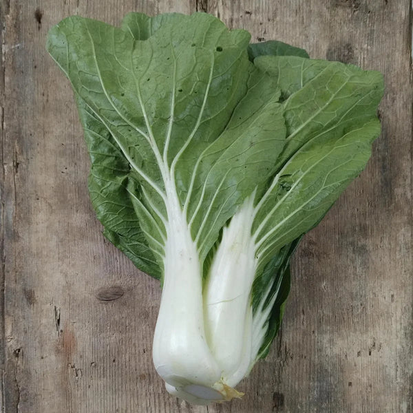 Pak Choi
