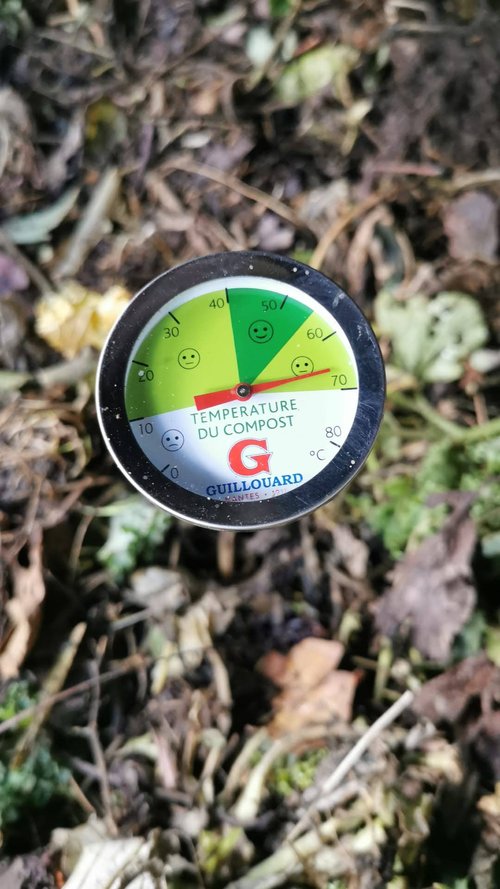 Wat gebeurt er in je compostbak? Het composteerproces eenvoudig uitgelegd