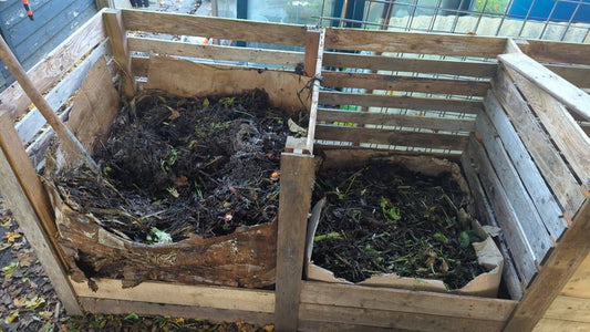 Welke compostbak past bij jouw tuin? Ontdek de 5 beste opties