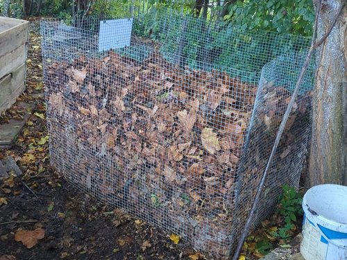 De 5 beste alternatieve compostmethodes: van bladcompost tot wormencompost