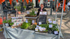 Mooi opgemaakte streekmarkt kraam met zaden en stekjes voor tuinieren
