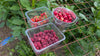 Drie bakjes met vers geoogst fruit: aardbeien, kersen en Logan berries op een houten tafel