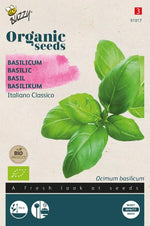 Basilicum (Italiano Classico) - Thumbnail
