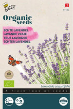 Lavendel - Thumbnail