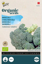 Broccoli - Thumbnail