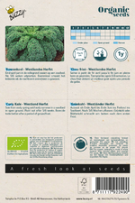 Boerenkool (herfst) - Thumbnail