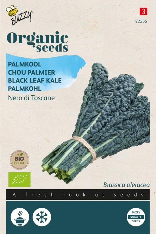 Palmkool