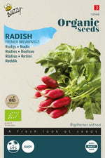 Radijs 