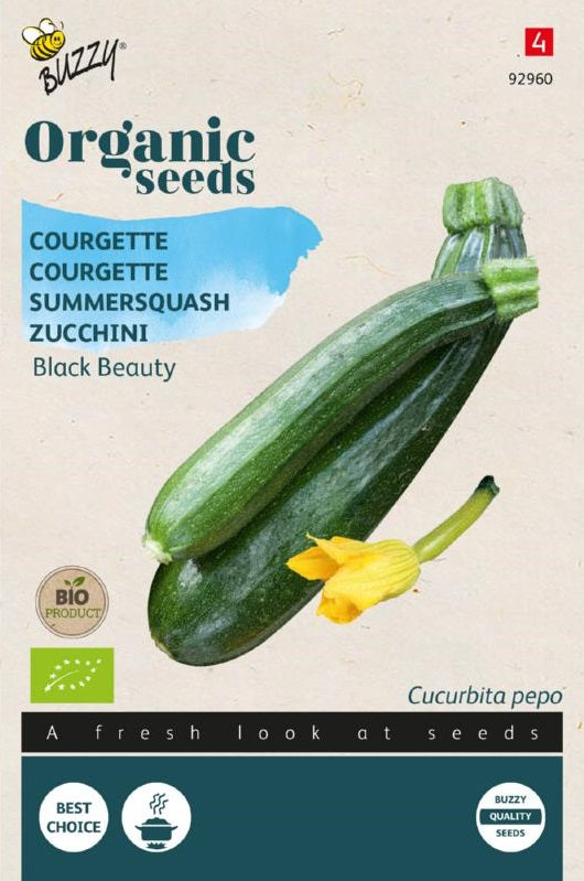 Courgette Black Beauty