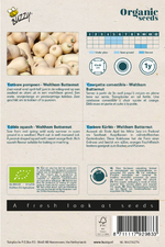 Pompoen (Waltham Butternut) - Thumbnail