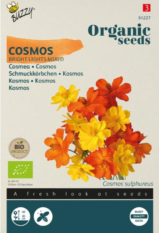 Cosmos Bright Lights