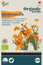 Goudpapaver, Slaapmutsje - Thumbnail