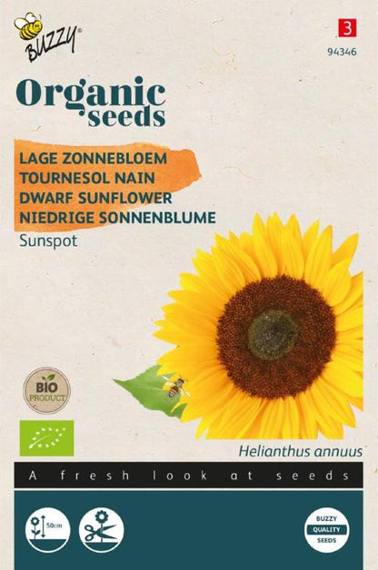 Lage Zonnebloem