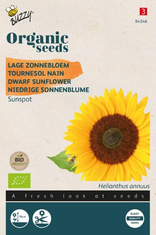 Lage Zonnebloem