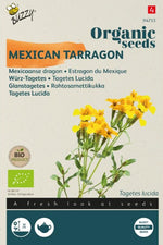 Mexicaanse Dragon - Thumbnail