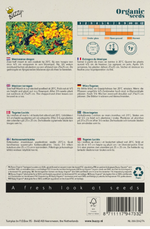 Mexicaanse Dragon - Thumbnail