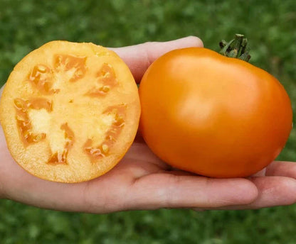 Tomaat Mandaline
