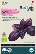 Basilicum Rosie - Thumbnail