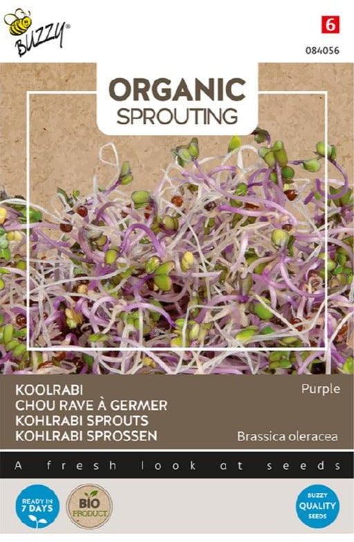 Sprouting Koolrabi Blauwpaars