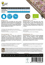 Sprouting Koolrabi Blauwpaars - Thumbnail