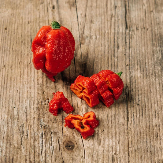Peper 'Carolina Reaper'