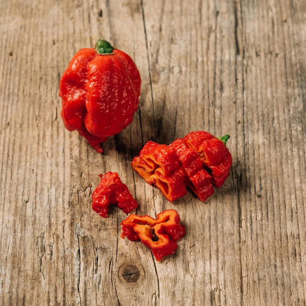 Peper 'Carolina Reaper'