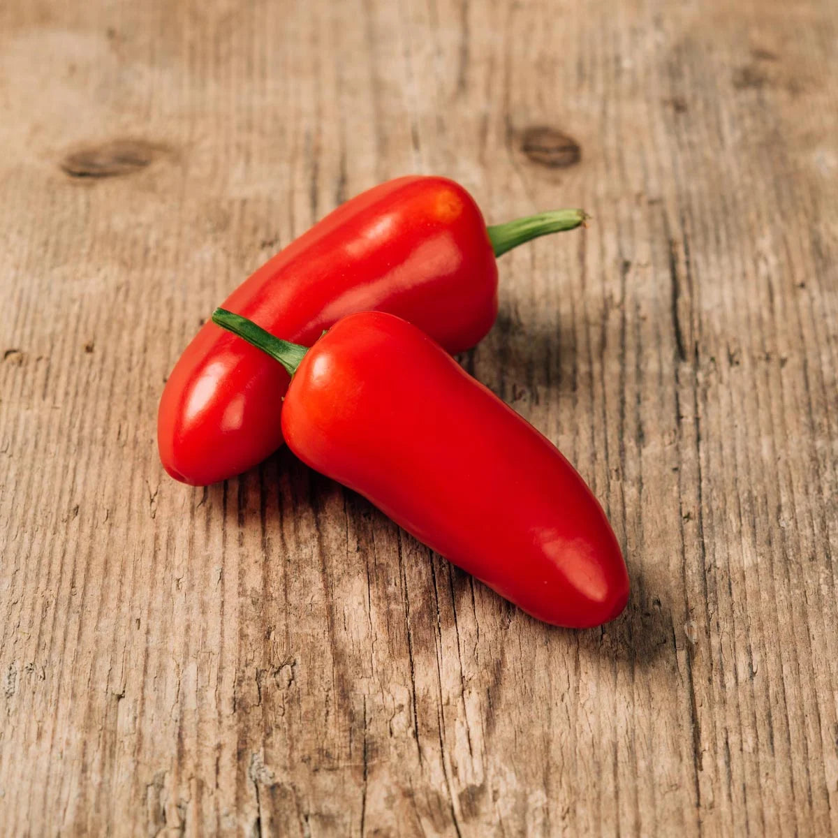 Peper 'Jalapeño'
