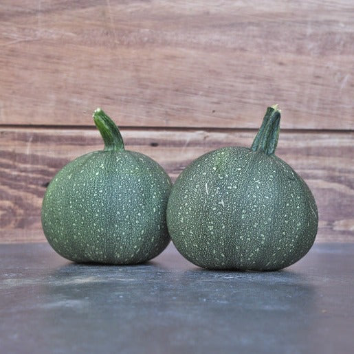 Courgette Rond
