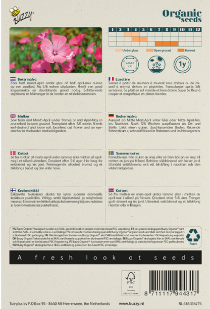 Lavatera Bekermalva