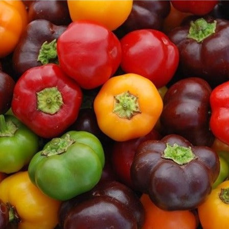 Paprika Mini Bell Mix