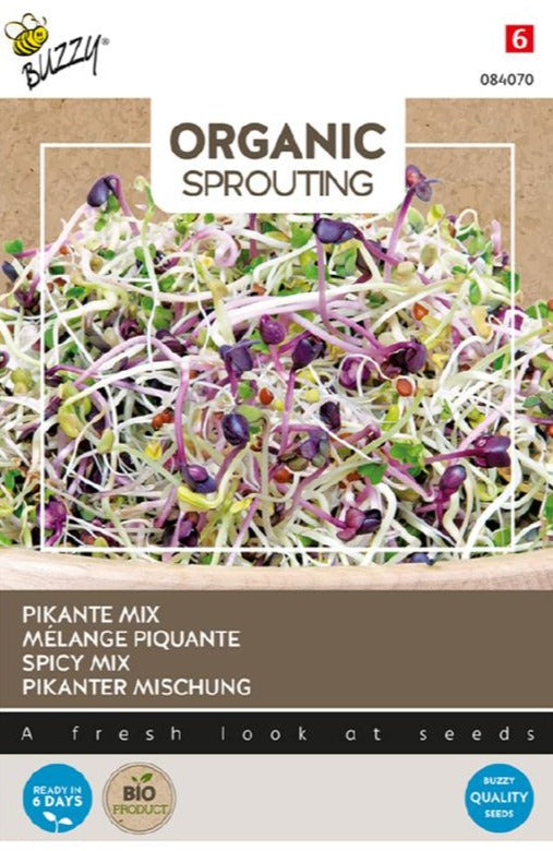 Sprouting Salademengsel (pikant)