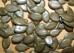 Pompoen Gleisdorfer - Thumbnail