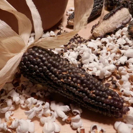 Popcorn Mais