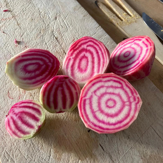 Chioggia Biet
