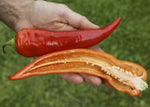 Paprika Sweet Banana - Thumbnail