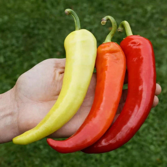 Paprika Sweet Banana